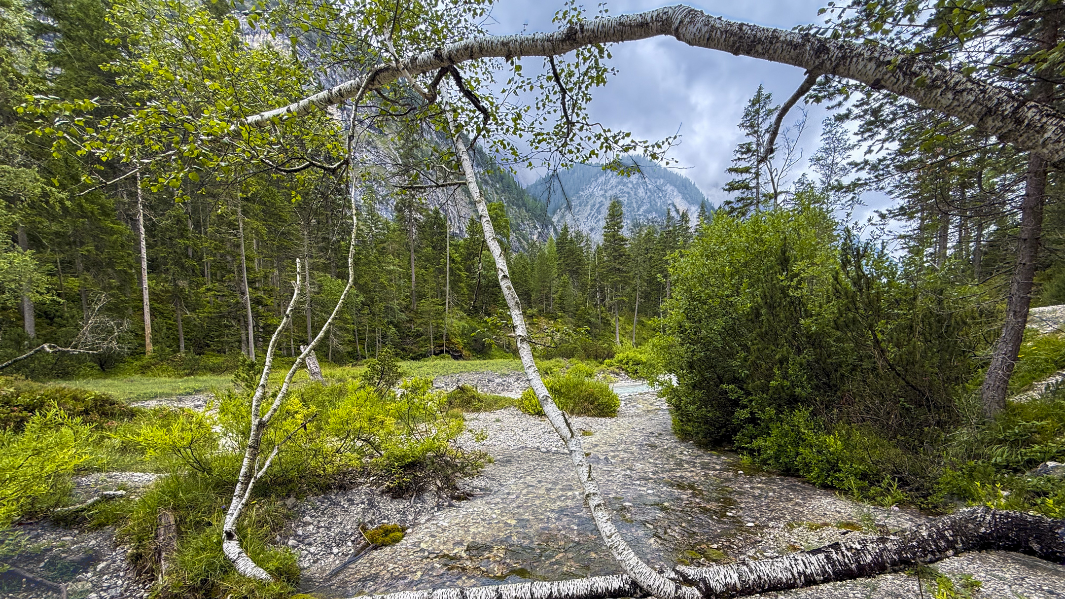 Halleranger20250715_14 18 10