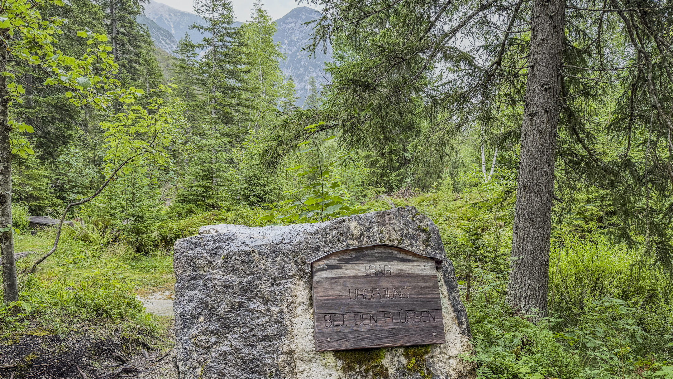 Halleranger20250715_14 22 44