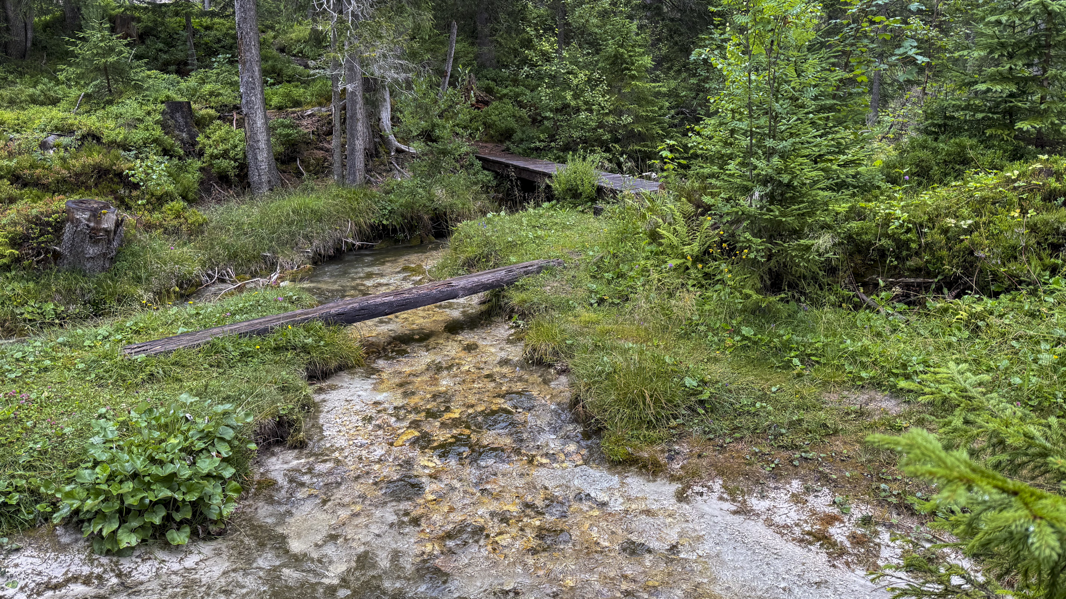 Halleranger20250715_14 22 58