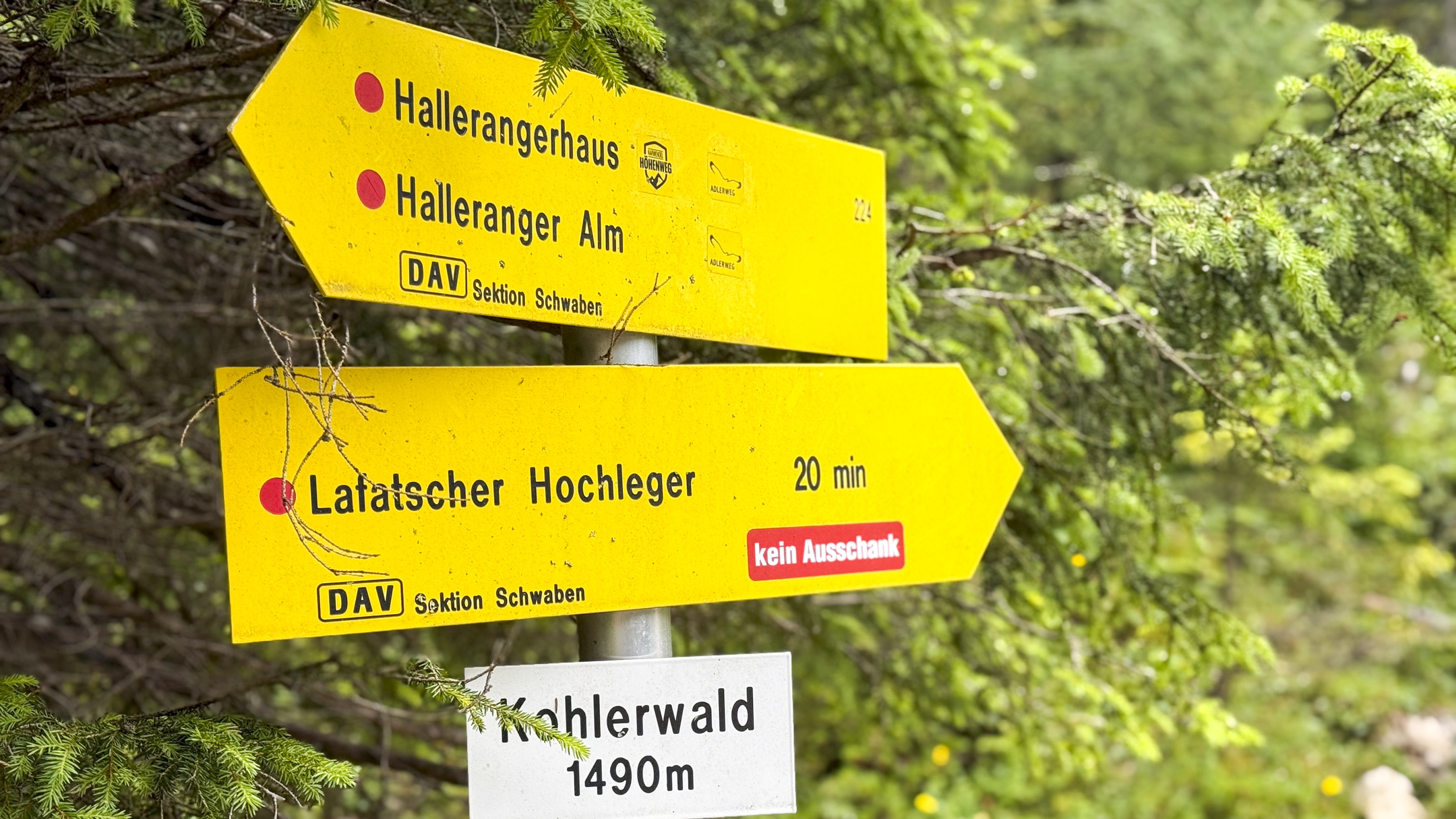 Halleranger20250715_14 59 32