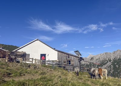Tarrenton Alm – Schlierenhütte | Tegestal